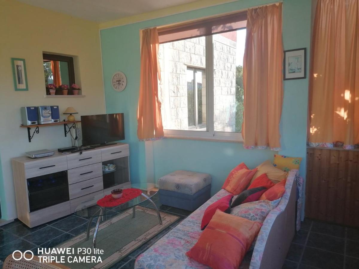 Apartmani Zute Račišće Dış mekan fotoğraf