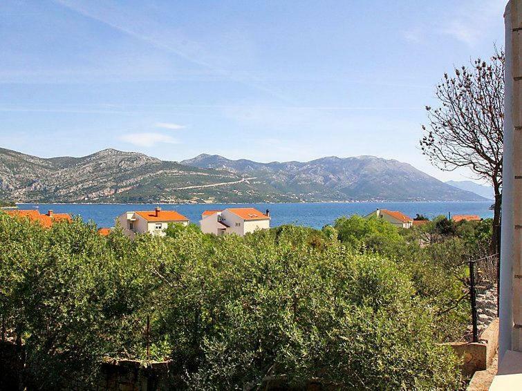Apartmani Zute Račišće Dış mekan fotoğraf